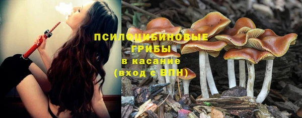 молекула духа Нефтегорск