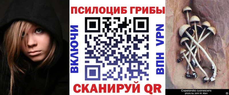 наркотики  Орлов  Псилоцибиновые грибы Psilocybe 